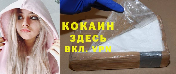 дживик Бикин