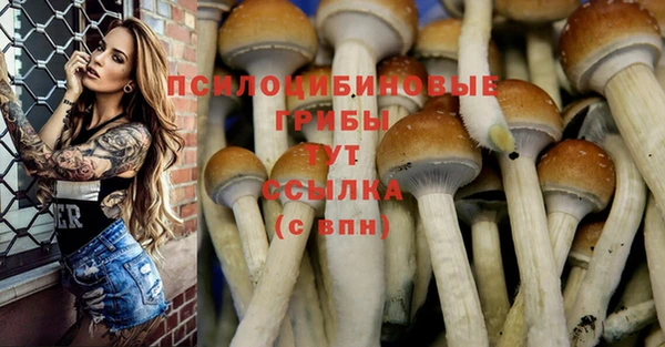 кокаин Билибино