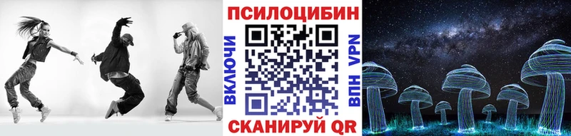 Псилоцибиновые грибы Psilocybe  Волосово 